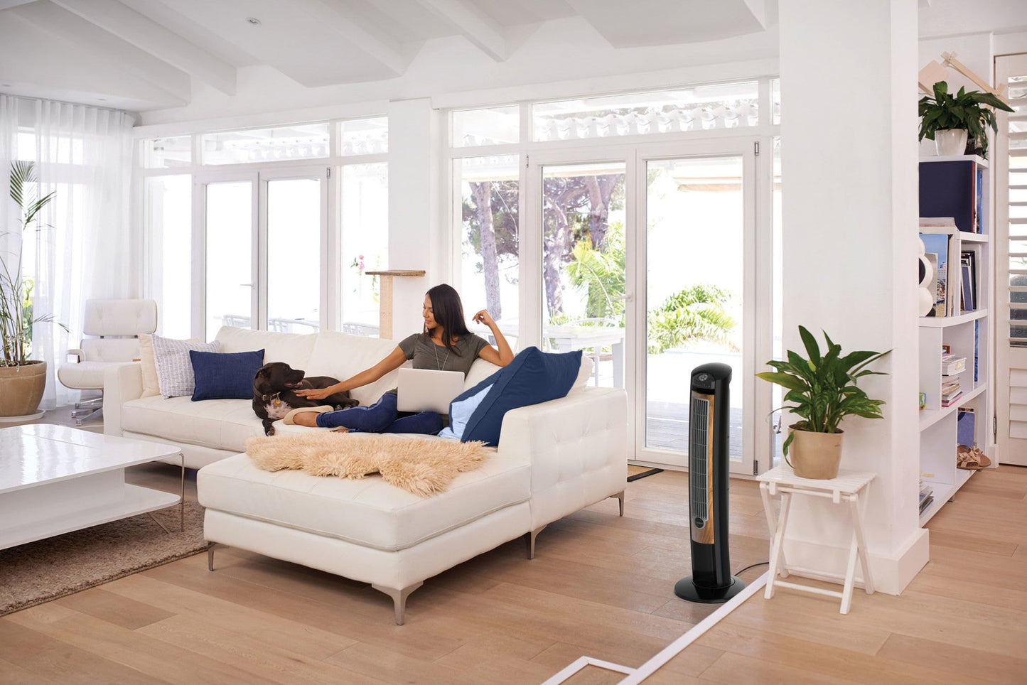 Lasko T42050 42" Wind Curve? Tower Fan with Sleep Mode and Remote Control